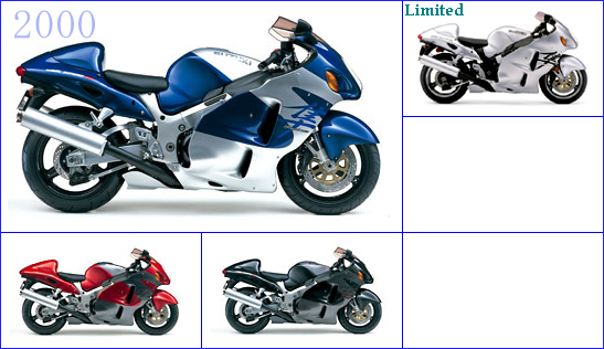 SUZUKI GSX1300R Hayabusa Each age model